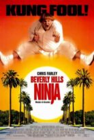 Beverly Hills Ninja (1997) izle