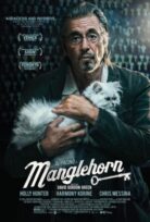 Hayallerimdeki Kadın izle