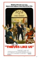Bizim gibi hırsızlar (1974) izle