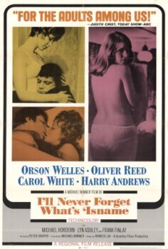 Milyoner Serseri (1967) izle