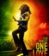 Bob Marley: One Love izle