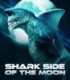 Shark Side of the Moon izle