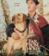 Far from Home: The Adventures of Yellow Dog (1995) izle