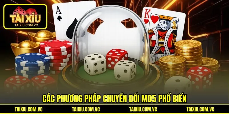 Các phương pháp chuyển đổi MD5 phổ biến