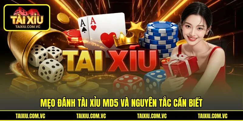 Mẹo đánh tài xỉu MD5 và nguyên tắc cần biết