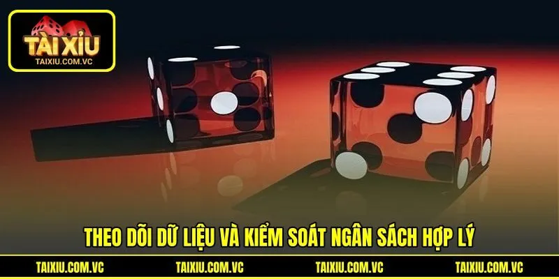Theo dõi dữ liệu và kiểm soát ngân sách hợp lý Theo dõi dữ liệu và kiểm soát ngân sách hợp lý